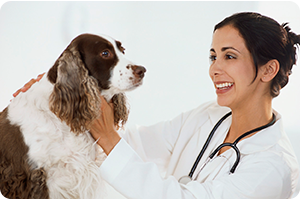 Beneficios veterinario